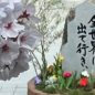 2023年度入学式
